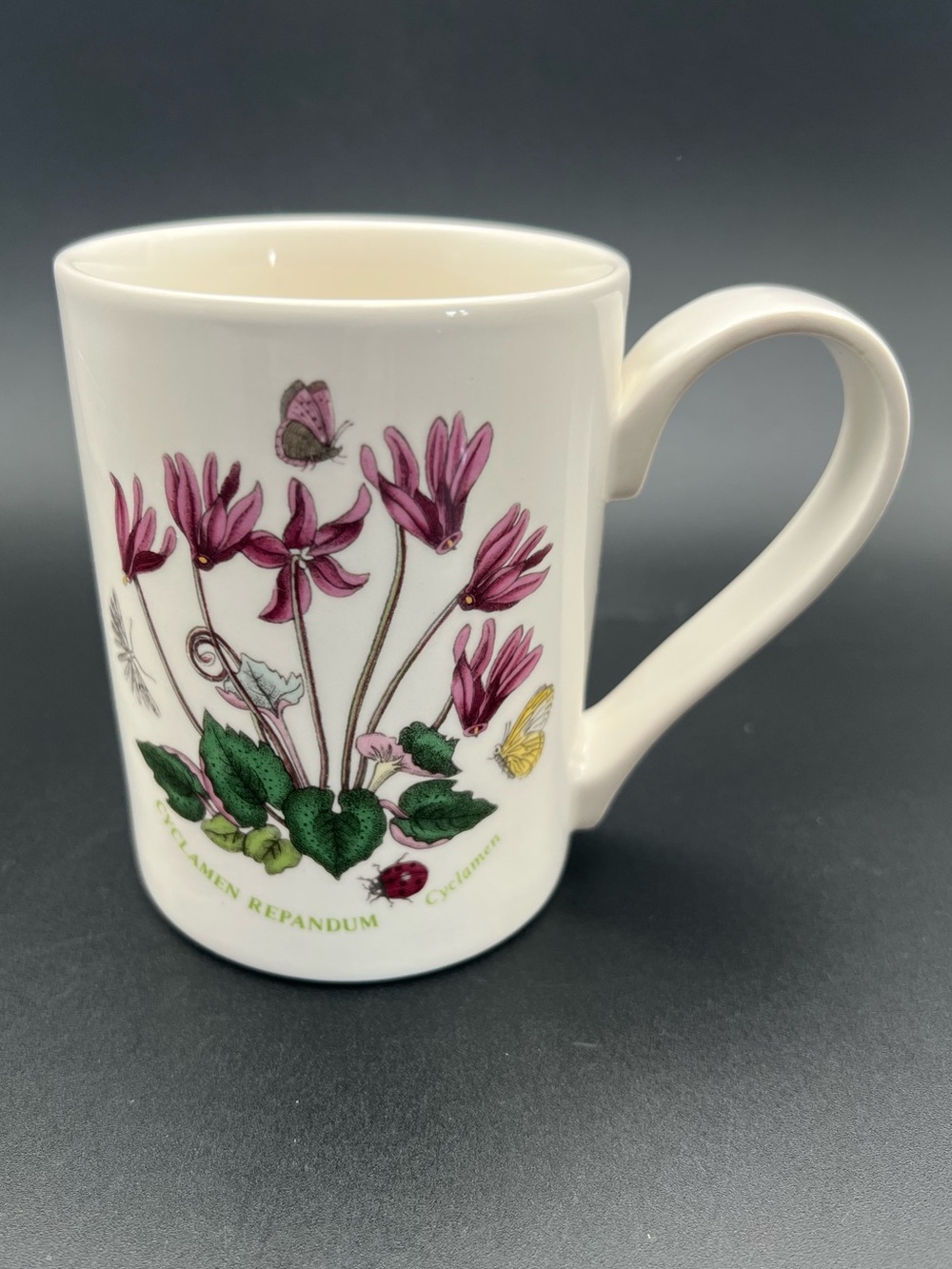 🇬🇧 Portmeirion Botanic Garden Cyclamen Repandum Coffee Mug Made in Britain